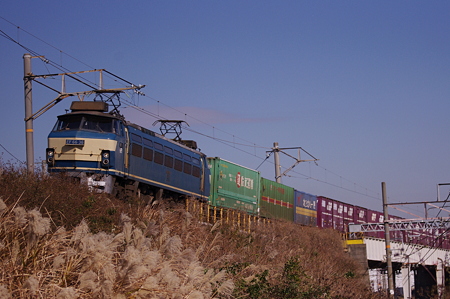 IMGP7854