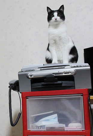 どや