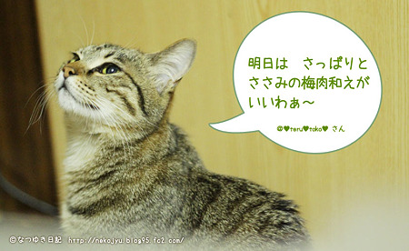 セリフ