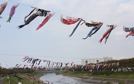 Img_0752