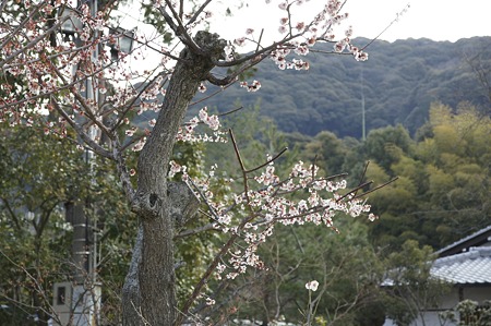 DSC01408