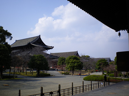 IMGP3930