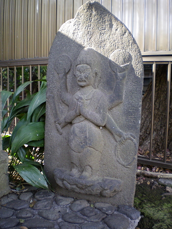 IMGP3964
