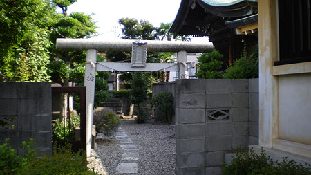 IMGP5476