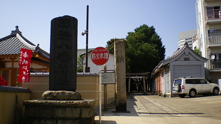IMGP5529