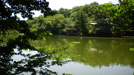 IMGP5576
