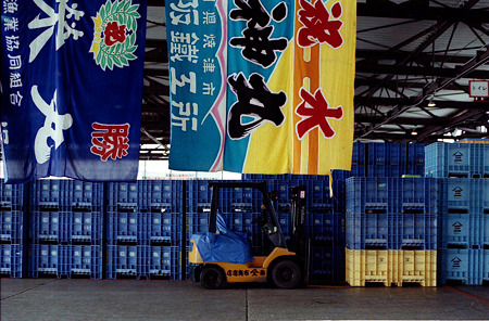 Image1315（YASHICA FRI）