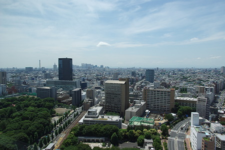 IMGP0687