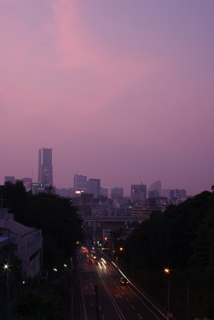 IMGP3118