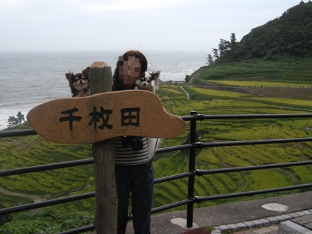 DSCN0768