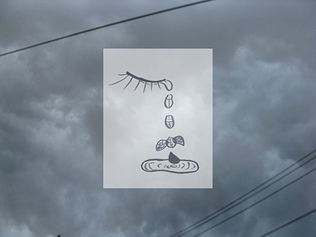 空で泣いた涙はテントウ虫になって飛んでいく
