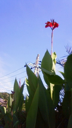 201007270833000