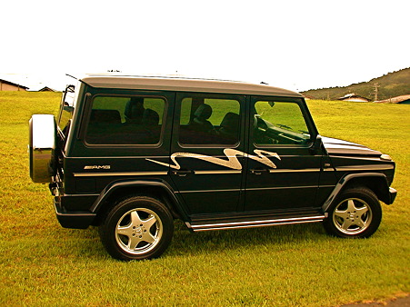 G36L AMG