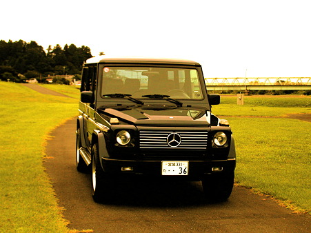 G36L AMG