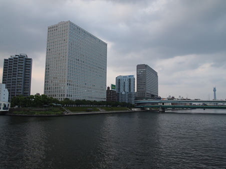 P8182294
