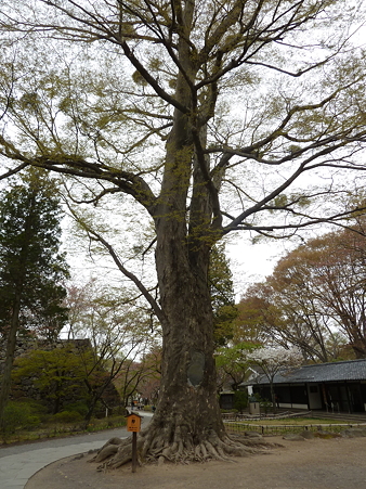 2011甲信 078