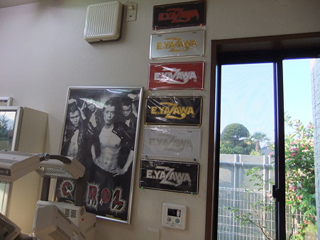 2010_05300055