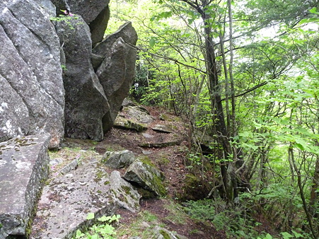 P1000978