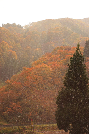 次年子七兵衛そばより望む紅葉＆雪