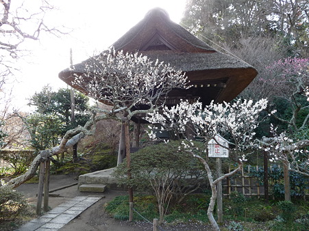 110225-東慶寺 (38)