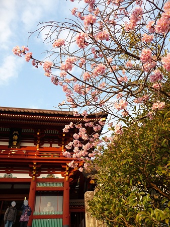110308-鶴岡八幡宮 (12)