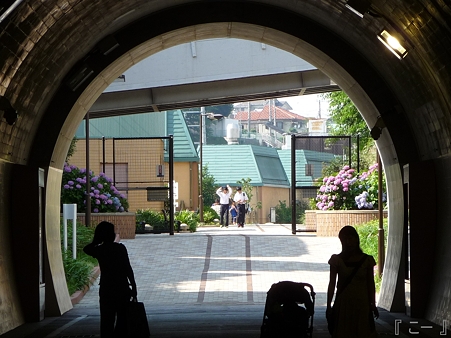 110622-東横廃線 反町→横浜 (52)