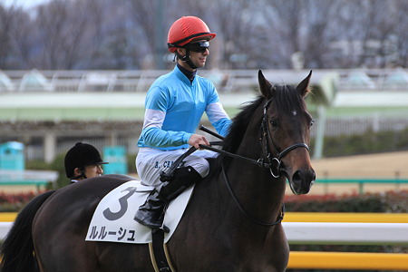 ルルーシュ 返し馬