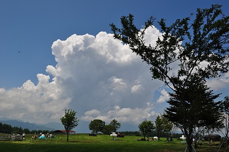 DSC_1408
