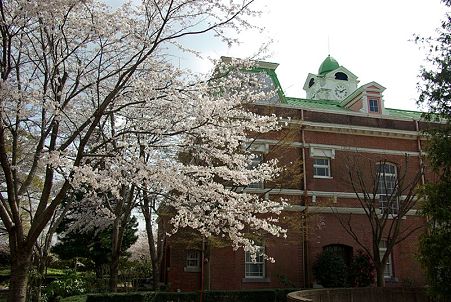 桜(2)