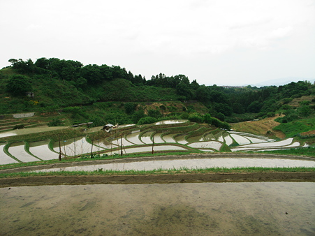 下赤坂の棚田