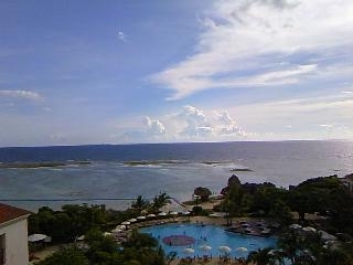 lifeximg_20100720053001