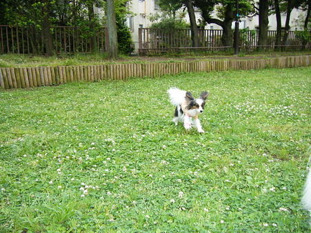 may26 (6)