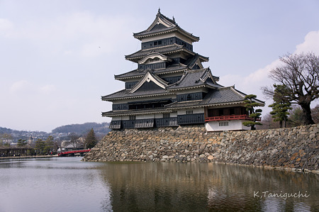 松本城