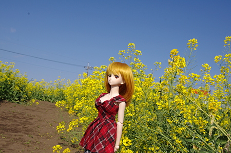 IMGP8973