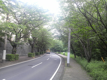 P1000484