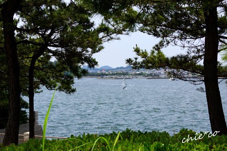八景島-238