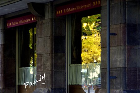 銀杏 ｙｅｌｌｏｗ の街角・・1