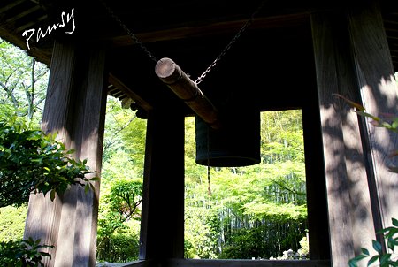 鐘楼から見える竹林・・