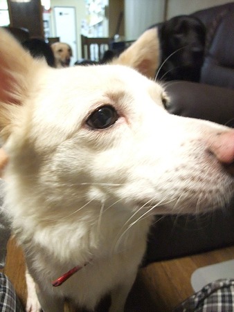 すき好き~~♪