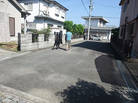 ジュニア!バイバイ!!