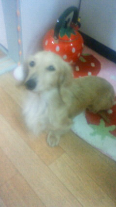 201005132010000
