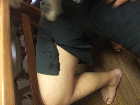 裂かれてる・・・