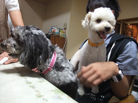 好きやねん♪