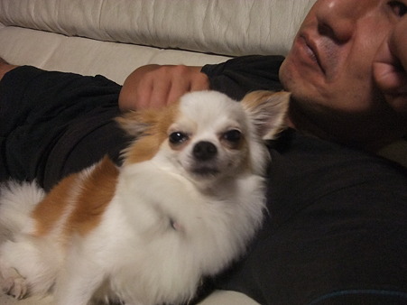 うっとりのちぃ