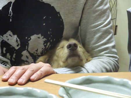 ウトウト・・・