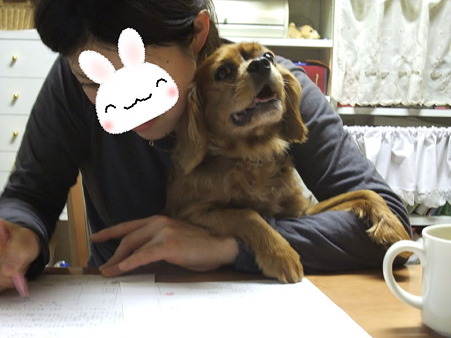 譲渡書類交わし中~