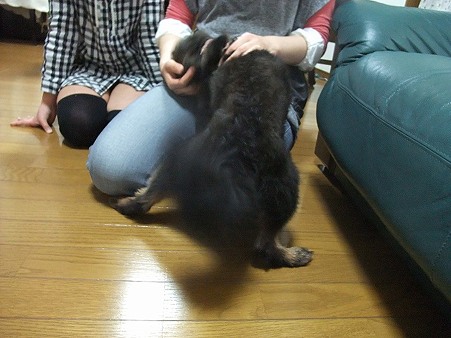 誰でも大好きなレオ君、お母さんに