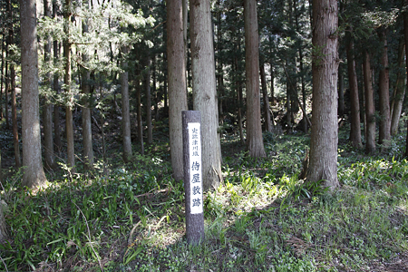 津川城 - 01