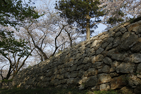 村上城（本庄城） - 03