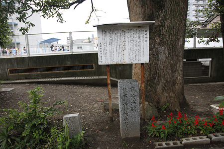 鶴崎城・熊本藩鶴崎御茶屋跡 - 1